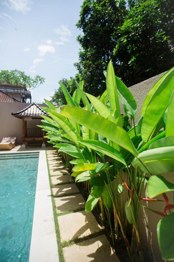 Donguri House Bali Panzió Jimbaran Kültér fotó